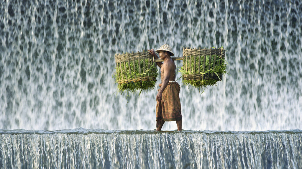 Man carrying baskets of animal fodder past waterfall